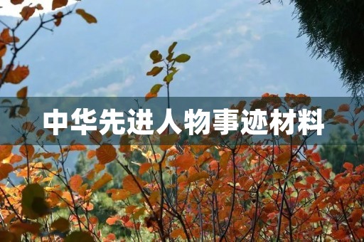 中华先进人物事迹材料