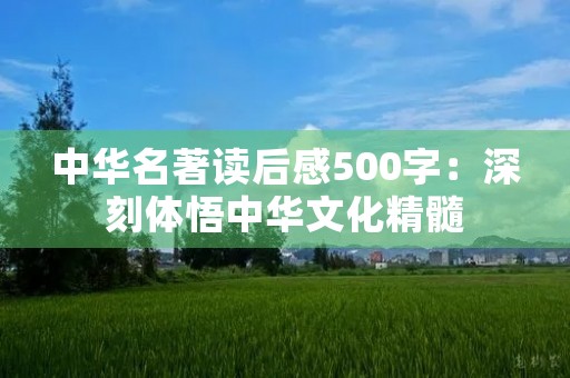 中华名著读后感500字：深刻体悟中华文化精髓