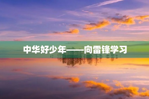 中华好少年——向雷锋学习 中华好少年——向雷锋学习