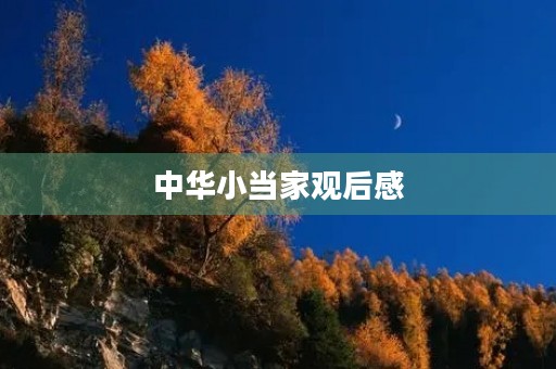 中华小当家观后感 中华小当家观后感