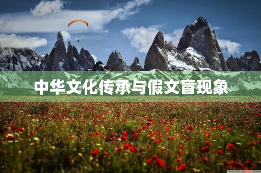 中华文化传承与假文盲现象
