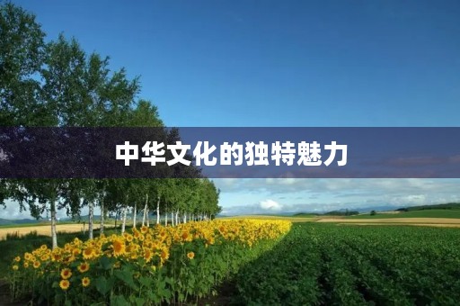 中华文化的独特魅力 中华文化的独特魅力
