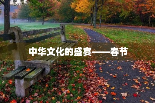 中华文化的盛宴——春节