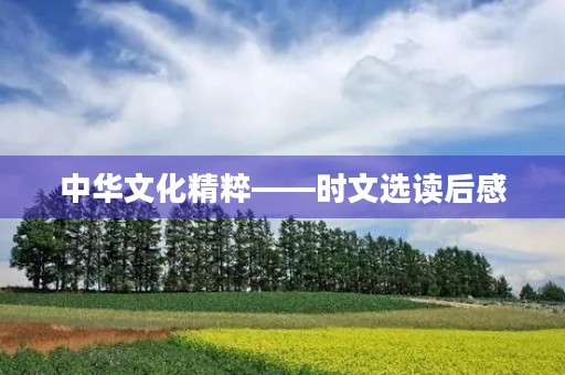 中华文化精粹——时文选读后感 中华文化精粹——时文选读后感