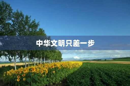 中华文明只差一步 中华文明只差一步