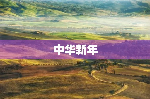 中华新年,辞旧迎新贺词 中华新年,辞旧迎新贺词