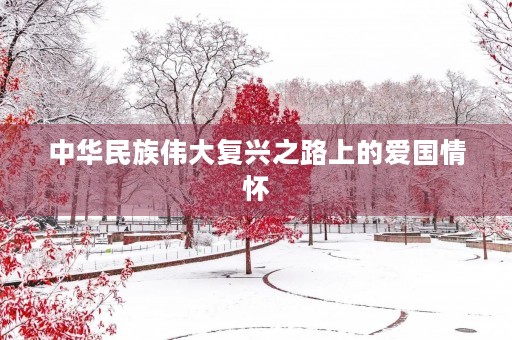 中华民族伟大复兴之路上的爱国情怀 中华民族伟大复兴之路上的爱国情怀