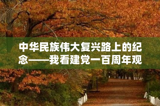 中华民族伟大复兴路上的纪念——我看建党一百周年观后感