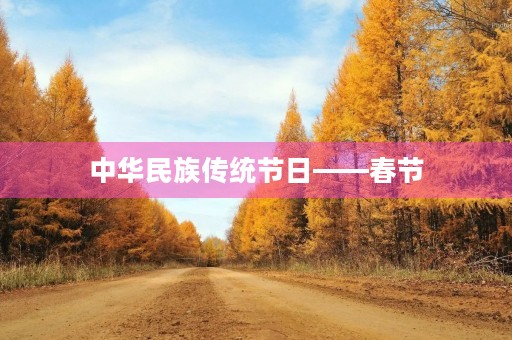 中华民族传统节日——春节 中华民族传统节日——春节