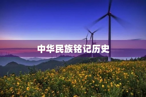 中华民族铭记历史 中华民族铭记历史