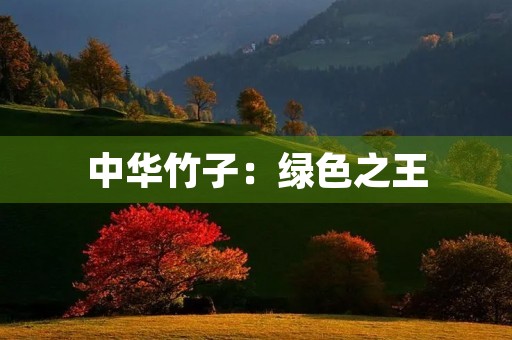 中华竹子：绿色之王