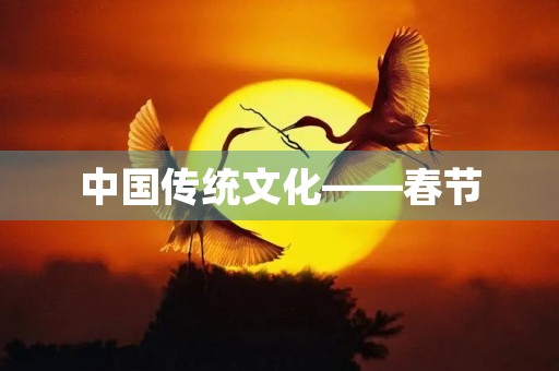 中国传统文化——春节