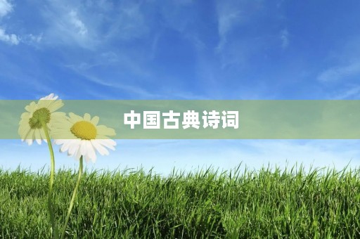 中国古典诗词 中国古典诗词