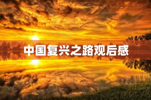 中国复兴之路观后感
