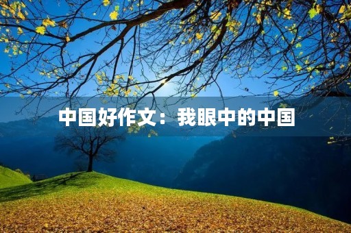 中国好作文:我眼中的中国 中国好作文:我眼中的中国