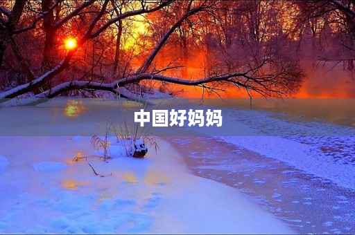 中国好妈妈 中国好妈妈