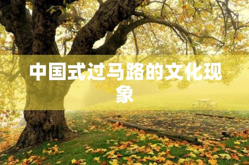 中国式过马路的文化现象