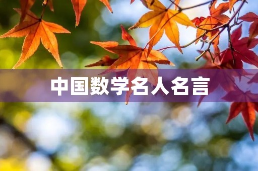 中国数学名人名言,中国数学名人名言 摘抄 中国数学名人名言,中国数学名人名言 摘抄