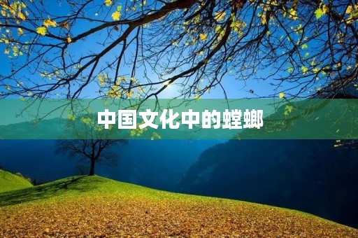 中国文化中的螳螂