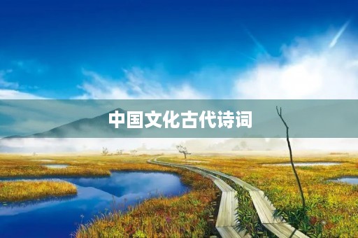 中国文化古代诗词