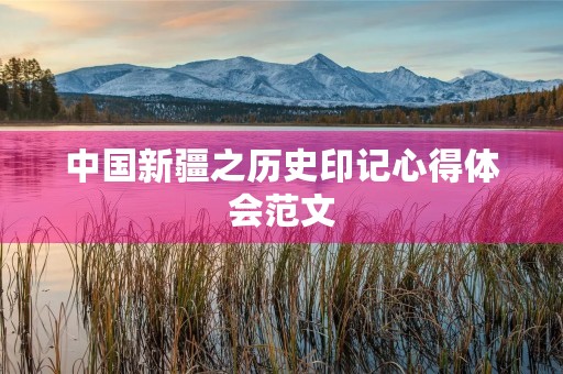 中国新疆之历史印记心得体会范文