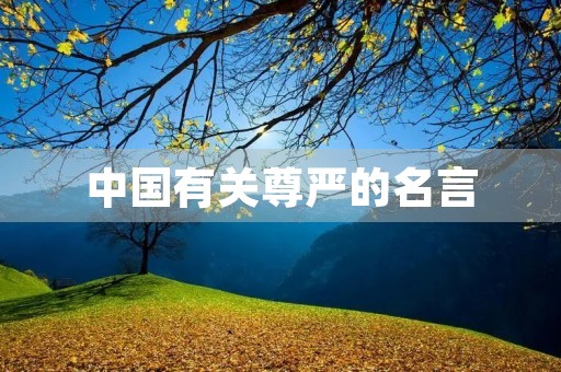 中国有关尊严的名言(中国有关尊严的名言有哪些) 中国有关尊严的名言(中国有关尊严的名言有哪些)