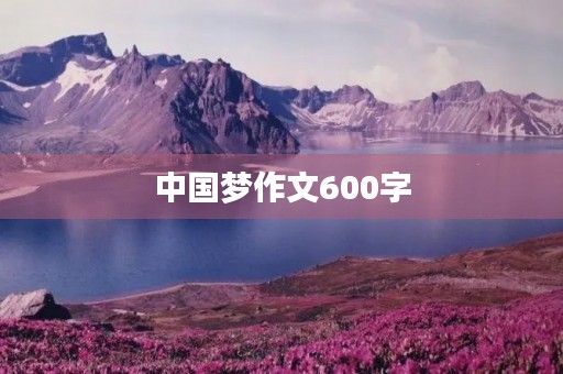 中国梦作文600字