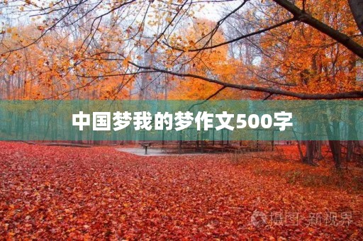 中国梦我的梦作文500字