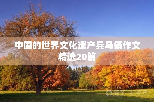 中国的世界文化遗产兵马俑作文精选20篇