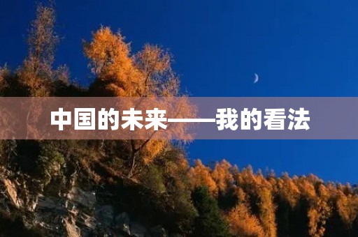 中国的未来——我的看法 中国的未来——我的看法