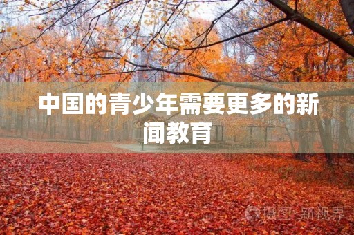 中国的青少年需要更多的新闻教育 中国的青少年需要更多的新闻教育