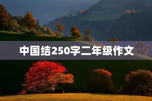 中国结250字二年级作文