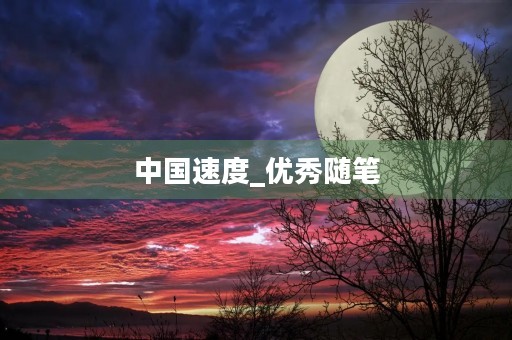 中国速度_优秀随笔 中国速度_优秀随笔