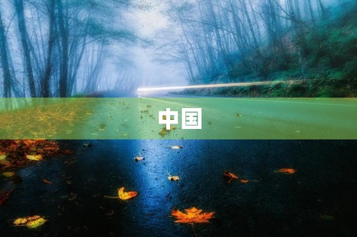 中国，爱国，文化，历史，人民