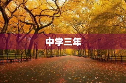 中学三年,我的成长 中学三年,我的成长