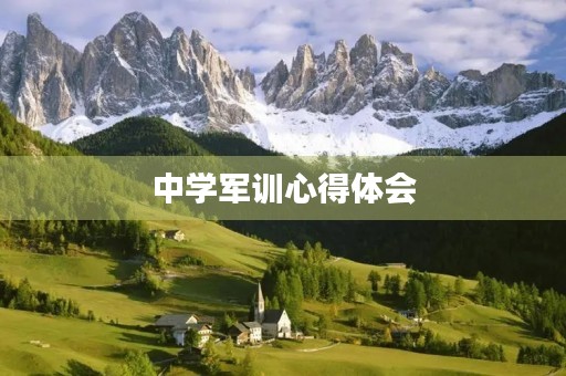 中学军训心得体会 中学军训心得体会
