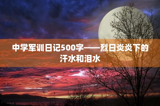 中学军训日记500字——烈日炎炎下的汗水和泪水