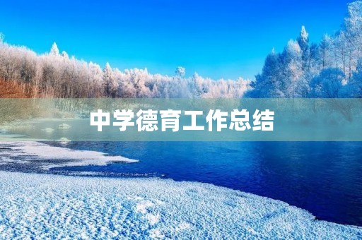 中学德育工作总结