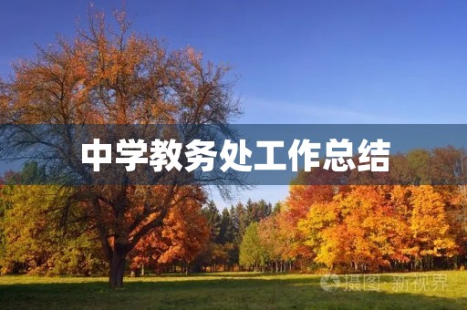 中学教务处工作总结