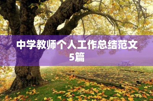 中学教师个人工作总结范文5篇