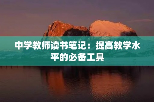 中学教师读书笔记：提高教学水平的必备工具