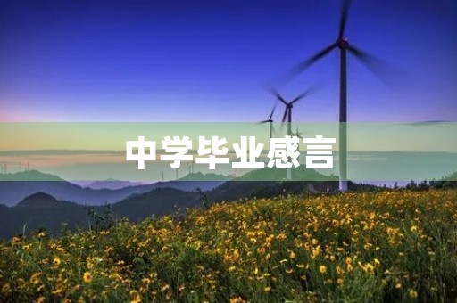 中学毕业感言 中学毕业感言