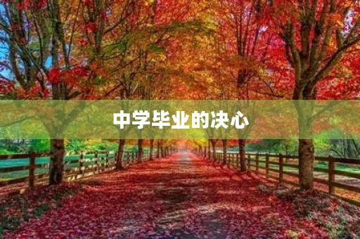 中学毕业的决心