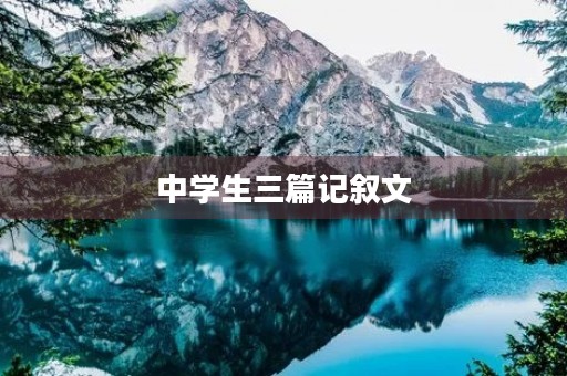中学生三篇记叙文