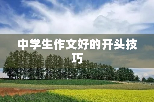 中学生作文好的开头技巧