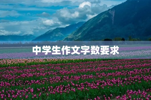 中学生作文字数要求 中学生作文字数要求
