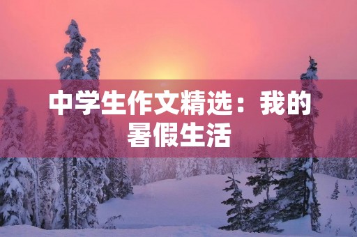 中学生作文精选：我的暑假生活