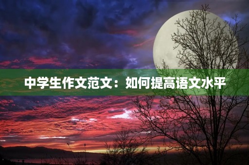 中学生作文范文:如何提高语文水平 中学生作文范文:如何提高语文水平