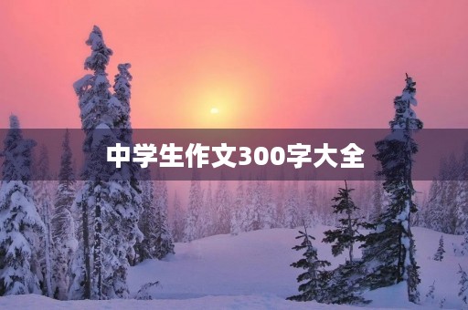 中学生作文300字大全