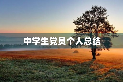 中学生党员个人总结 中学生党员个人总结
